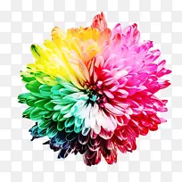 ˮ�� ���� ʪī-������