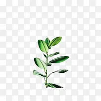 ˮ�ʻ� ���� ʪī-������