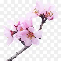 水彩 颜料 湿墨-空若网 水彩 颜料 湿墨-空若网