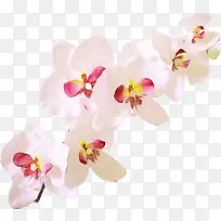 水彩 颜料 湿墨-空若网 水彩 颜料 湿墨-空若网