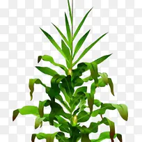 水彩 油漆 湿墨-空若网 水彩 油漆 湿墨-空若网