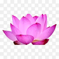 ˮ�� ���� ʪī-������