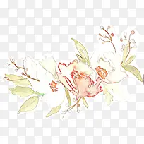 卡通 花卉 植物-空若网 卡通 花卉 植物-空若网