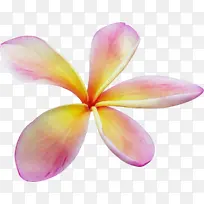 ˮ�ʻ� ���� ʪī-������