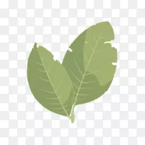 Ҷ��Ϣ��ͨѶ������ݮ�����Ĺ�ֲ�ﾥ-�¹�-������