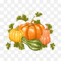 天然食品 蔬菜 南瓜-空若网 天然食品 蔬菜 南瓜-空若网