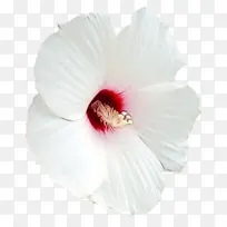 水彩 颜料 湿墨-空若网 水彩 颜料 湿墨-空若网