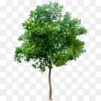 Ë®²Ê» ÓÍÆá ʪī-¿ÕÈôÍø Ë®²Ê» ÓÍÆá ʪī-¿ÕÈôÍø