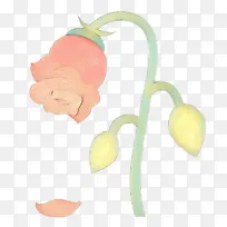 �������� ���� ����-������