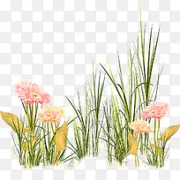 �� ֲ�� ��-������