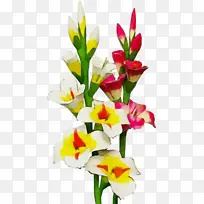 水彩 颜料 湿墨-空若网 水彩 颜料 湿墨-空若网