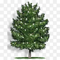 水彩画 油漆 湿墨-空若网 水彩画 油漆 湿墨-空若网