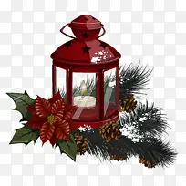 灯笼 树 冷杉-空若网 灯笼 树 冷杉-空若网