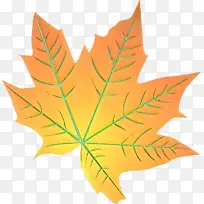 ��ͨ Ҷ�� ��-������