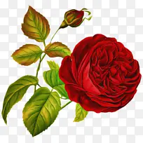 �� ����ֲ�� ��԰õ��-������