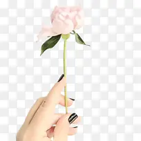 水彩 油漆 湿墨-空若网 水彩 油漆 湿墨-空若网