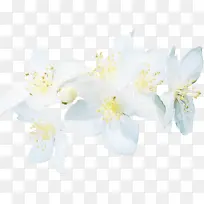 水彩 油漆 湿墨-空若网 水彩 油漆 湿墨-空若网