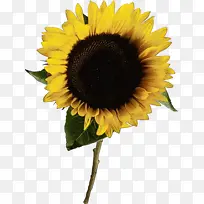 水彩画 颜料 湿墨-空若网 水彩画 颜料 湿墨-空若网