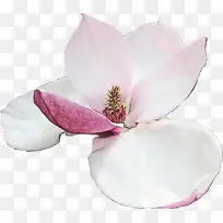 水彩 颜料 湿墨-空若网 水彩 颜料 湿墨-空若网