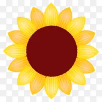 向日葵 黄色 花-空若网 向日葵 黄色 花-空若网