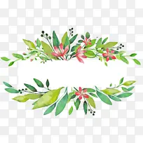 花 植物 叶-空若网 花 植物 叶-空若网