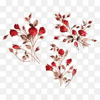 花 红色 植物-空若网 花 红色 植物-空若网