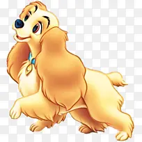 ��ͨ ����Ƭ ��������-������