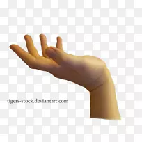 手指图像文件格式.手-空若网 手指图像文件格式.手-空若网