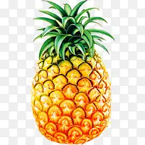 ��ȻʳƷ ���� �㽶-������