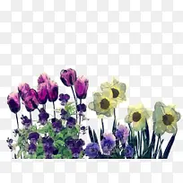 花卉 开花植物 植物-空若网 花卉 开花植物 植物-空若网