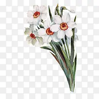 花卉 开花植物 植物-空若网 花卉 开花植物 植物-空若网