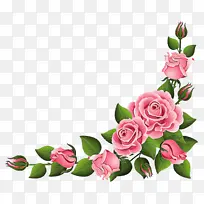 ��ɫ ���� �л�-������