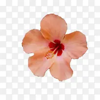 水彩 油漆 湿墨-空若网 水彩 油漆 湿墨-空若网