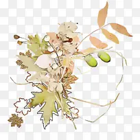 �� Ҷ ֲ��-������