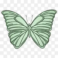 蝴蝶 飞蛾和蝴蝶 昆虫-空若网 蝴蝶 飞蛾和蝴蝶 昆虫-空若网