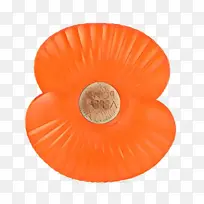 ��ͨ ��ɫ �Ը�Ů��-������