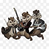 ����Ƭ ��ͨ ����-������