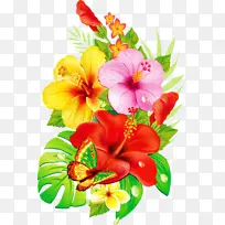 采购产品花 夏威夷木槿 木槿-空若网 采购产品花 夏威夷木槿 木槿-空若网