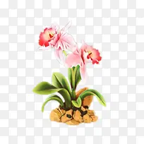 卡通 花卉 开花植物-空若网 卡通 花卉 开花植物-空若网