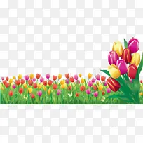 卡通 郁金香 花瓣-空若网 卡通 郁金香 花瓣-空若网