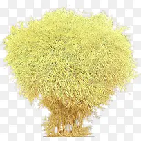 卡通 草 植物-空若网 卡通 草 植物-空若网