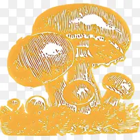 ��ͨ ��ɫ ��ɫ-������