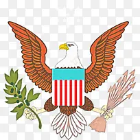 鸟 鹰 翅膀-空若网 鸟 鹰 翅膀-空若网