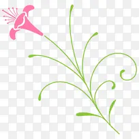 叶 植物 花梗-空若网 叶 植物 花梗-空若网