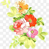 卡通 花 玫瑰-空若网 卡通 花 玫瑰-空若网