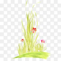 �� ֲ�� ��-������