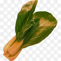 叶 蔡森 叶类蔬菜-空若网 叶 蔡森 叶类蔬菜-空若网