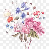 花 植物 开花植物-空若网 花 植物 开花植物-空若网