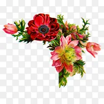 采购产品花 切花 花束-空若网 采购产品花 切花 花束-空若网