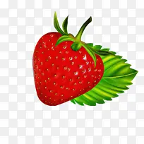 ��ݮ ��ȻʳƷ ˮ��-������